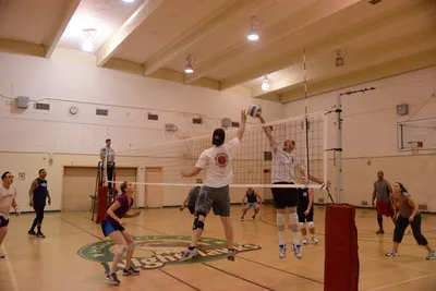 DSC_1891 (Large).JPG